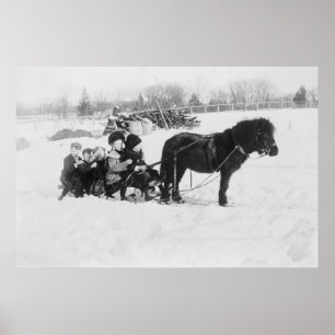 Barn på ponnyn drog sleden fotograferar poster