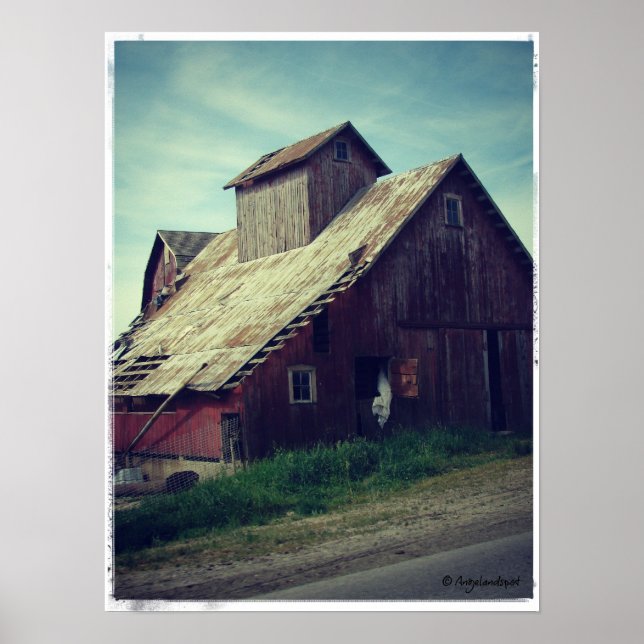 Barn Poster (Framsidan)
