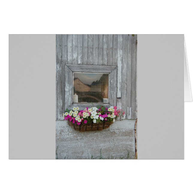 Barn Reflection Hälsningskort (Framsidan Horizontal)