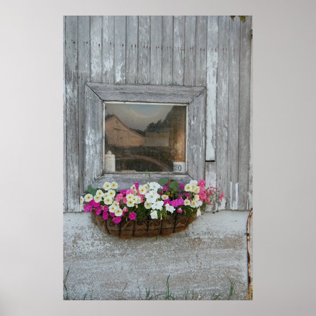 Barn Reflection Poster (Framsidan)