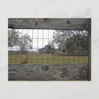 Barn-scen Vykort