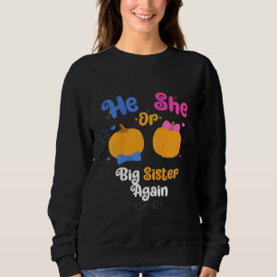 Barn som han eller hon är stor syster igen, Gender T Shirt