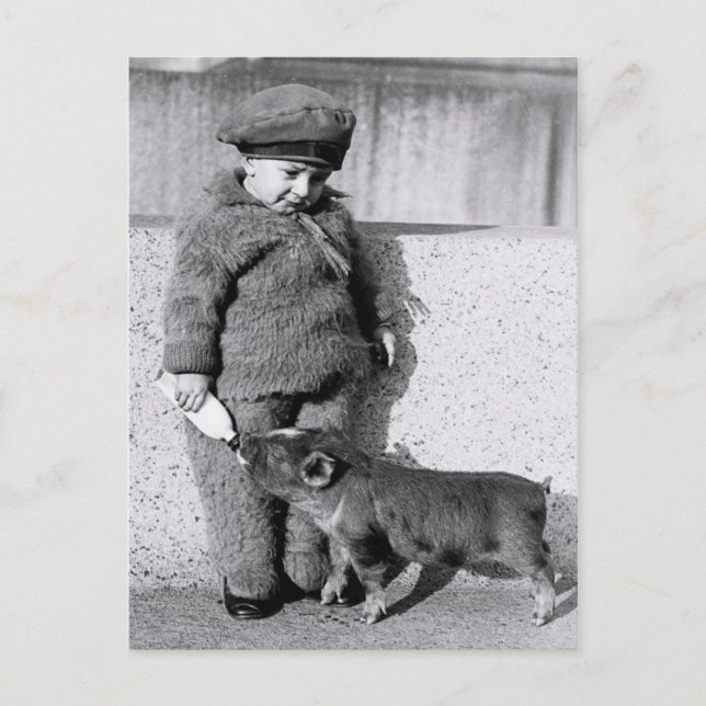 Barn som matar smågrisar med mjölk på flaska vykort (Framsida)