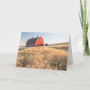 Barn, sommar vete fält nära Sprague, östra 1 Helgkort