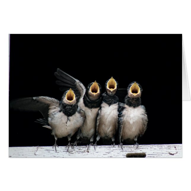 Barn Svälj Singing Hälsningskort (Framsidan Horizontal)