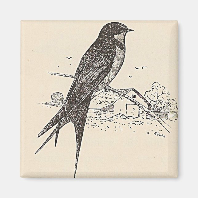 Barn Sväljer Magnet (Framsidan)