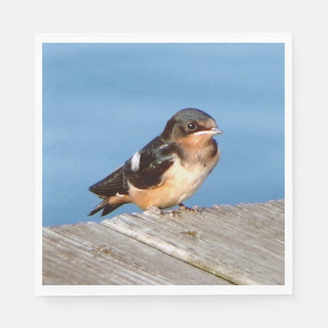 Barn Sväljer napkin Pappersservett (Framsidan)