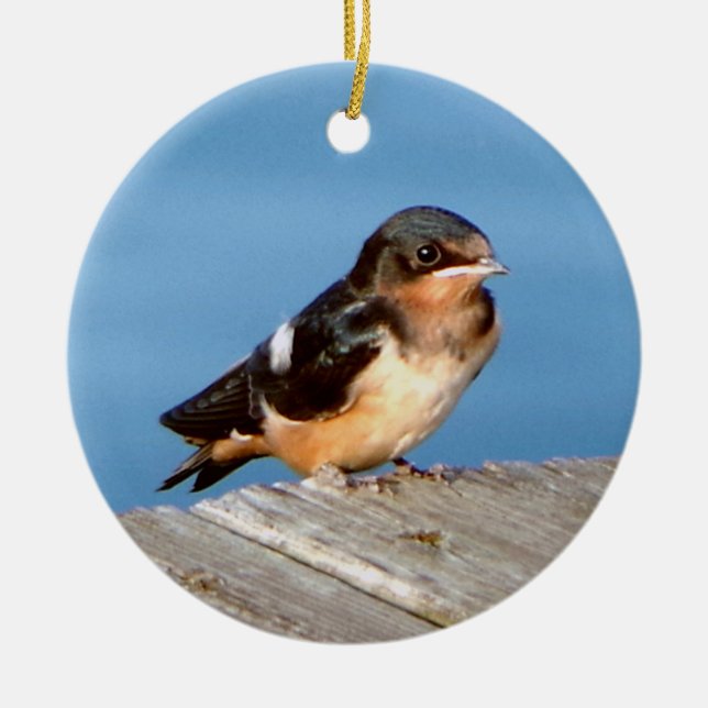 Barn Sväljer ornament (Framsidan)