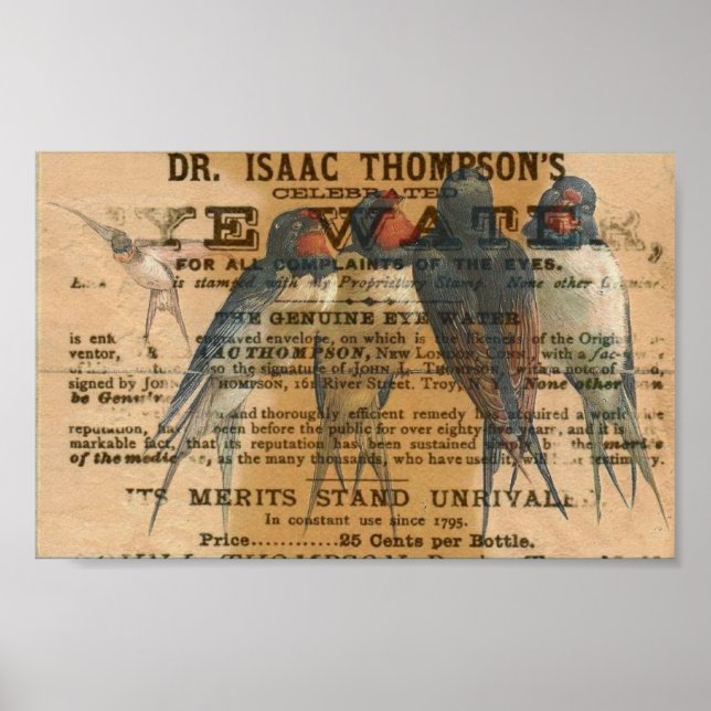 Barn Sväljer Vintage Poster (Framsidan)