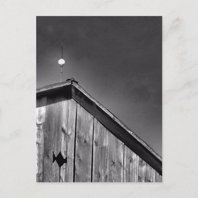 Barn talar mot Himlar i Black & White Vykort (Framsida)