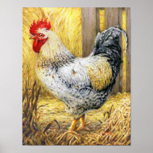 Barn Tupp Poster