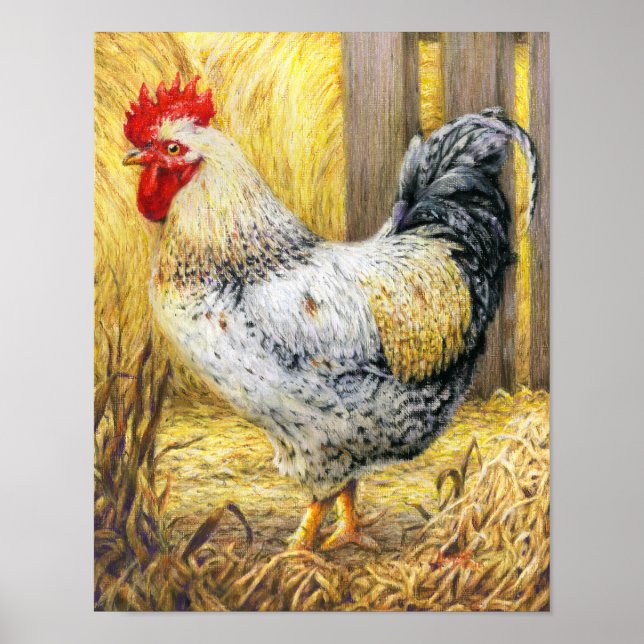 Barn Tupp Poster (Framsidan)