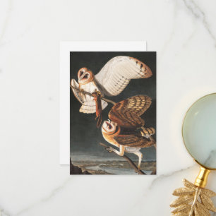 Barn Uggla av John James Audubon Tack Kort