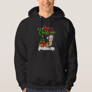 Barn Uggla Bird Älskare Julafton Dekoration Santa Hoodie