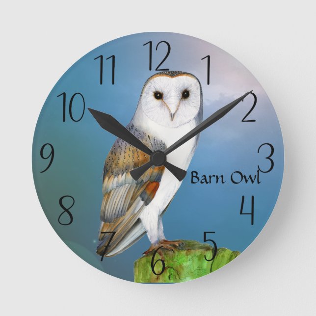 Barn Uggla Bird Watercolor Painting Watch Rund Klocka (Framsida)