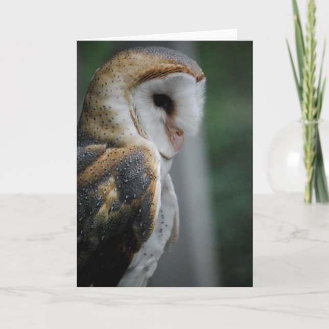 Barn Uggla Card Kort (Framsida)