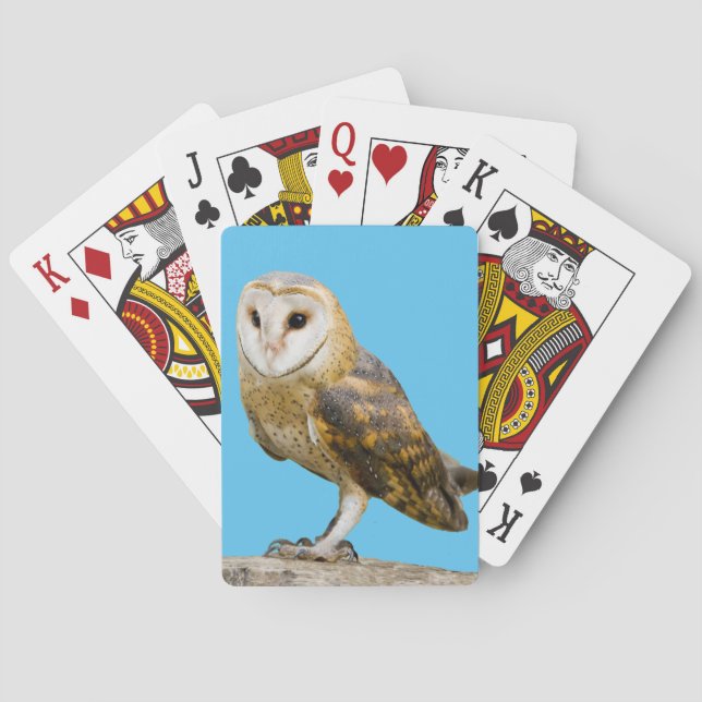 Barn Uggla Casinokort (Baksidan)