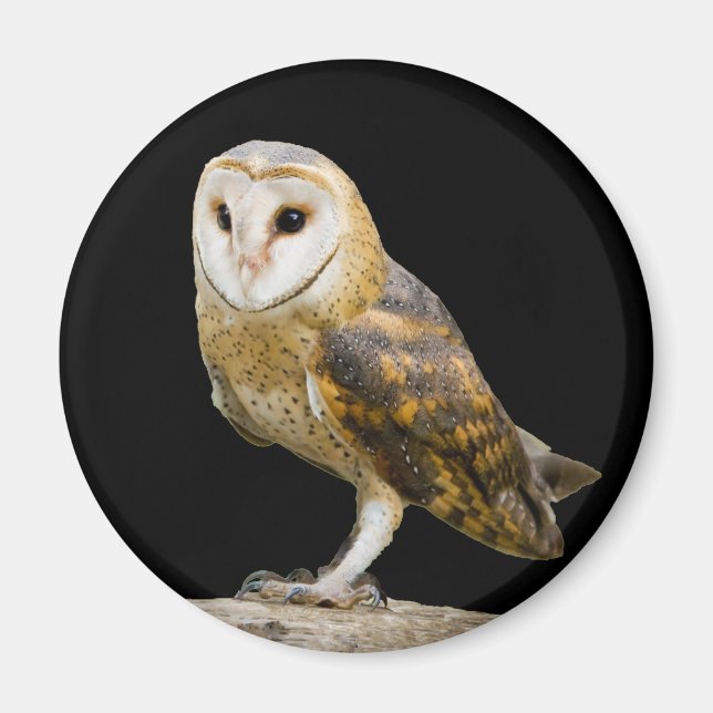 Barn Uggla Magnet (Framsidan)