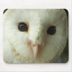 Barn Uggla Mousepad Musmatta