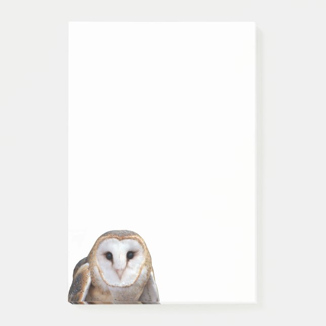 Barn Uggla Photo 4x6 Notes Stationery Post-it Block (Framsida)