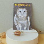 Barn Uggla Photo Funny Birthday Card Kort<br><div class="desc">Födelsedag för allt som innehåller fotobilden av en perched Barn Uggla,  tillsammans med en humoristisk födelsedag hälsning inuti. Välj från projektionsyta eller glansigt stil-kort.</div>