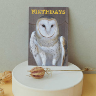 Barn Uggla Photo Funny Birthday Card Kort