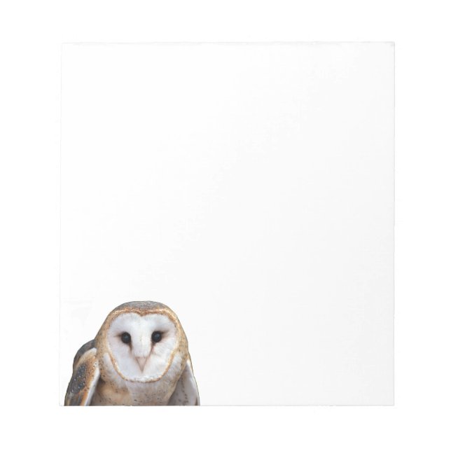 Barn Uggla Photo Note Cards Stationery Anteckningsblock (Framsida)