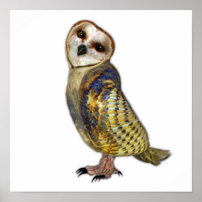 Barn Uggla Poster (Framsidan)