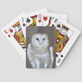 Barn Uggla Raptor Photo Spel Kort