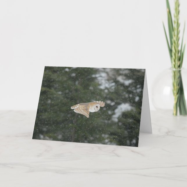 Barn uggla som flyger i snö kort (Framsida)