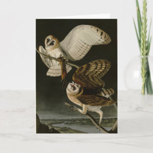 Barn Uggla (Tyto alba) Audubon's Birds of America Kort