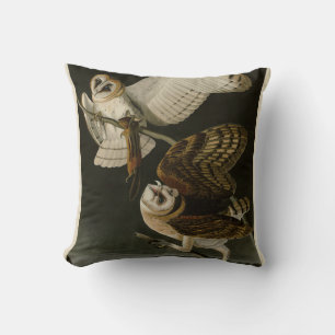 Barn Uggla (Tyto alba) Audubon's Birds of America Kudde