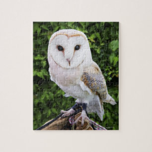 Barn uggla (Tyto Alba) på handsken Pussel