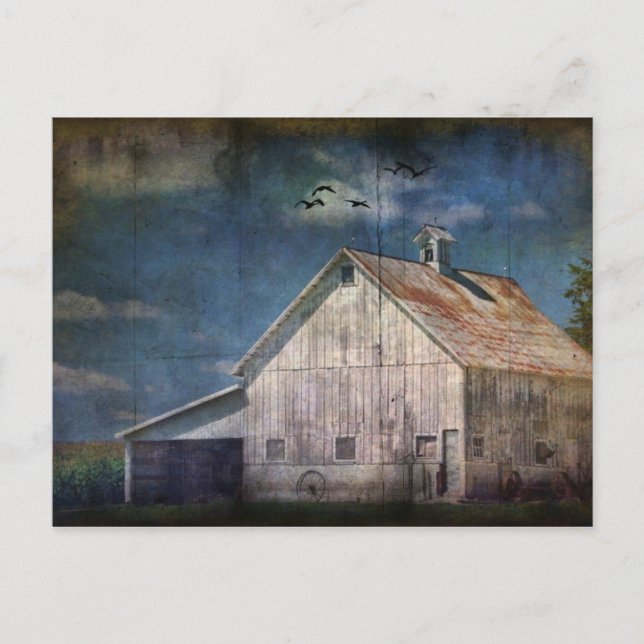 Barn Vykort (Framsida)