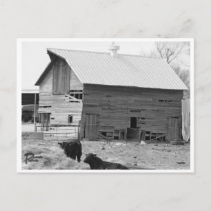 Barn-vykort Vykort