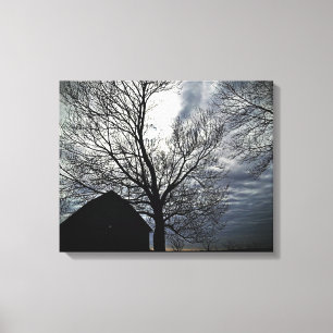Barn w/Himlar & Bare Träd Canvas Black & White Pho