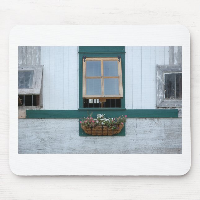 Barn-Window Musmatta (Framsidan)