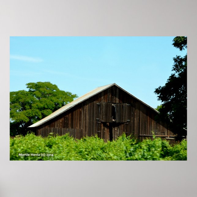 Barn Windows Poster (Framsidan)