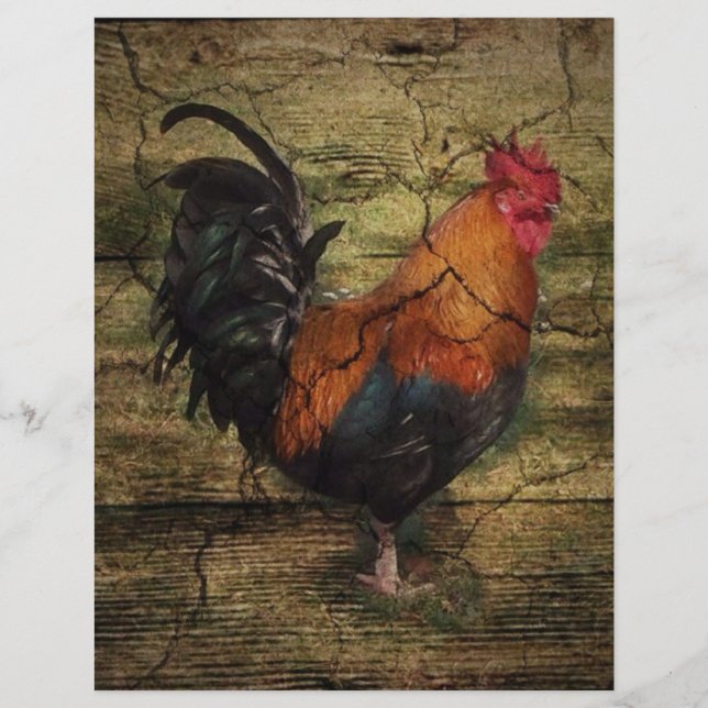 Barn Wood Farm Chicken fransk land tupp (Framsida)