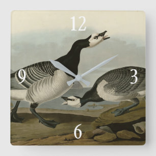 Barnacle Goose från Audubon's Birds of America Fyrkantig Klocka