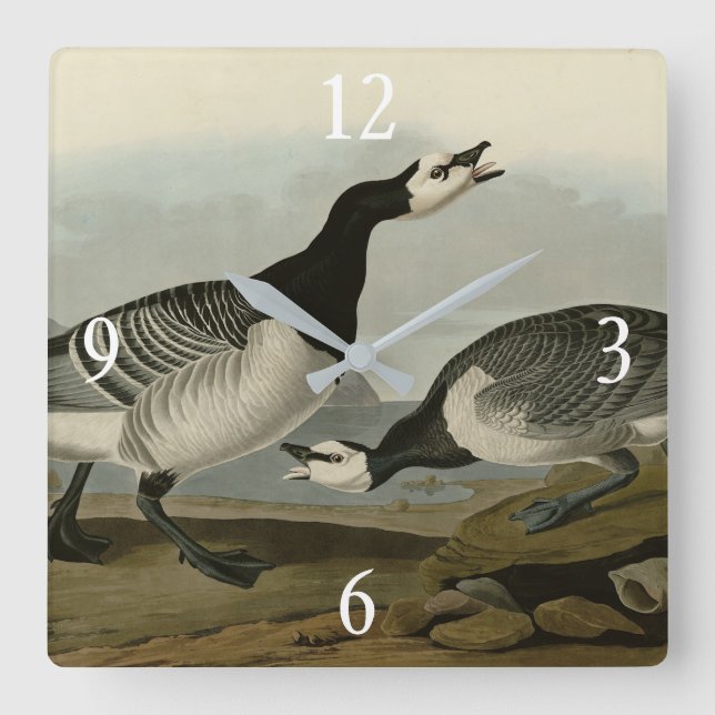 Barnacle Goose från Audubon's Birds of America Fyrkantig Klocka (Framsida)