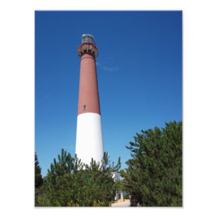 Barnegat fyr gammal Barney Fototryck