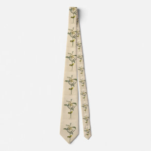 Barnens Warbler från Audubon's Birds of America Slips