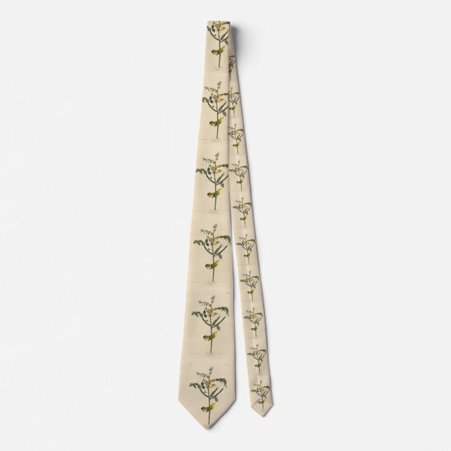 Barnens Warbler från Audubon's Birds of America Slips (Framsida)