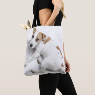 BarnjackRussell Terrier Tygkasse