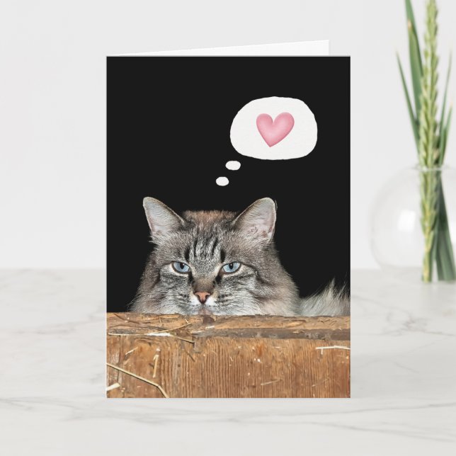 Barnkatt som tänker på dig  kort (Framsida)