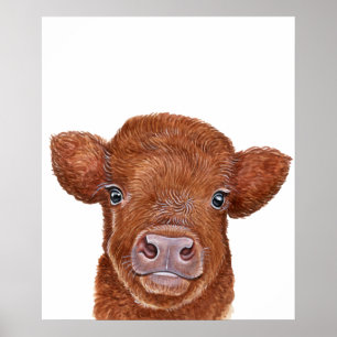 Barnkonst Röd Highland Ko Kalv Poster