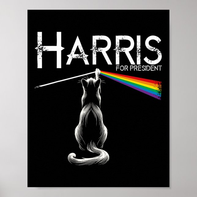Barnlös Cat Dam Funny Cat Dam Poster (Framsidan)