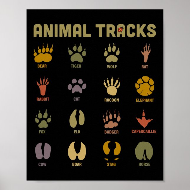 Barns barnbarn Vild Animal Tracks Childrens Läs me Poster (Framsidan)