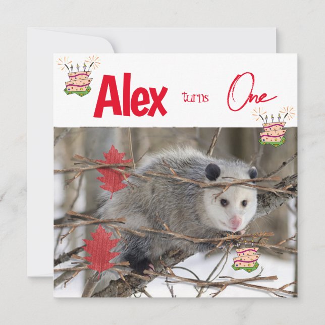 Barns första födelsedagsinbjudan - Possum-typ Inbjudningar (Framsida)